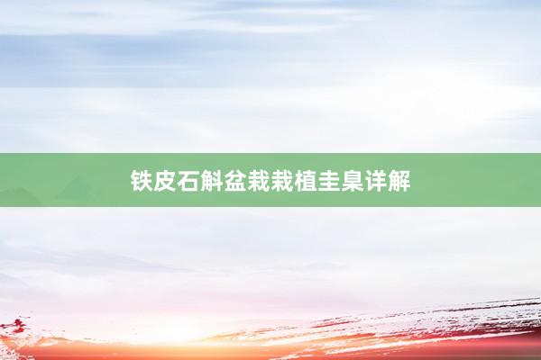铁皮石斛盆栽栽植圭臬详解