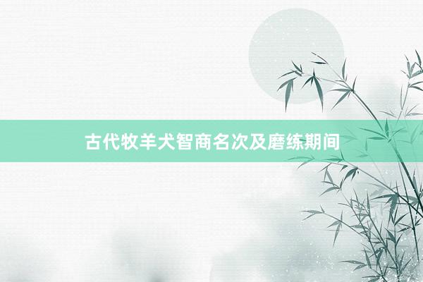 古代牧羊犬智商名次及磨练期间