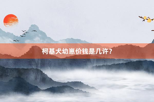 柯基犬幼崽价钱是几许？